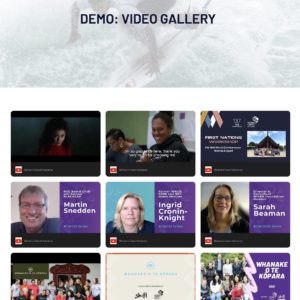 Add Ons - Video Gallery Page